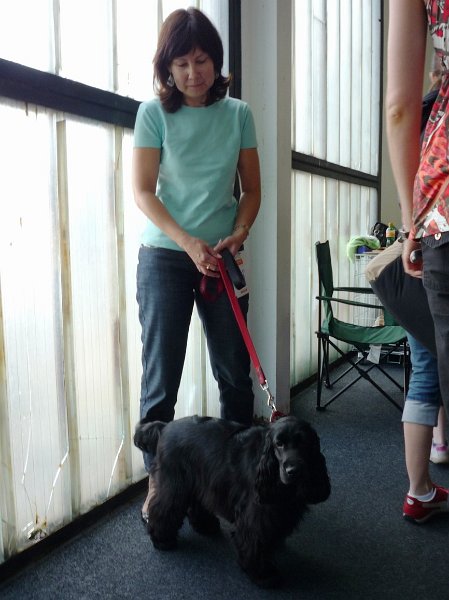 Litomerice 2009 019.jpg